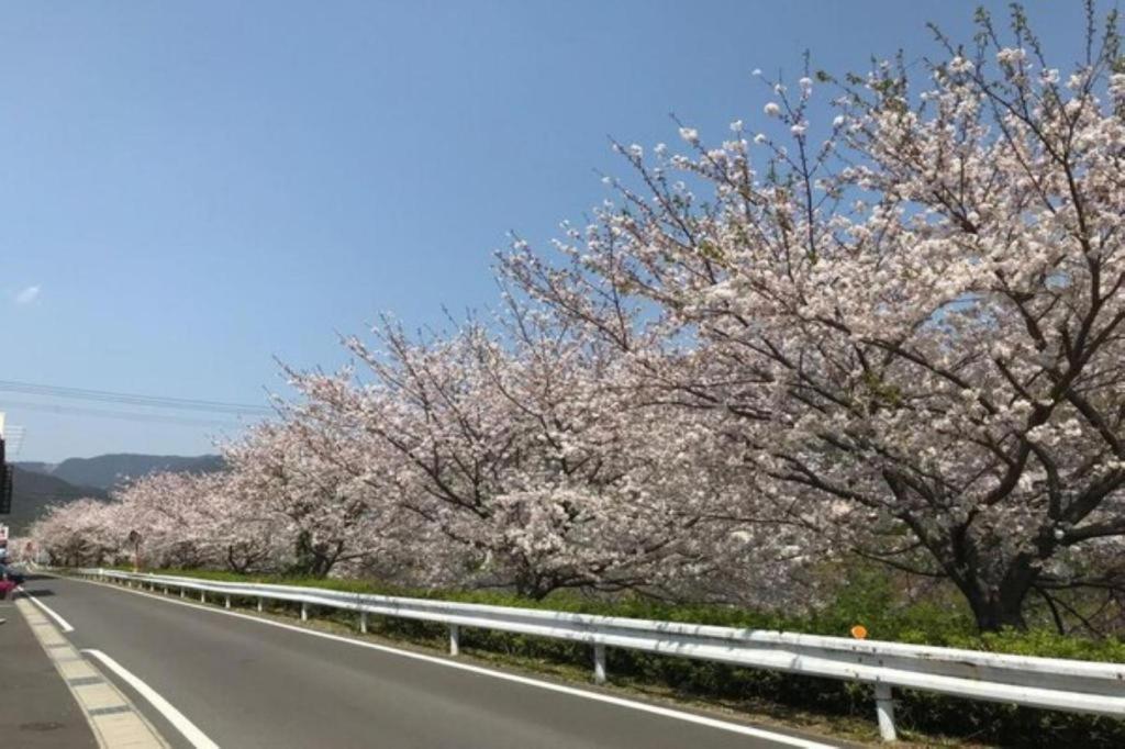 川上熊野商务酒店 熊野市 外观 照片